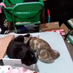 Meet your Posher, Roseanne